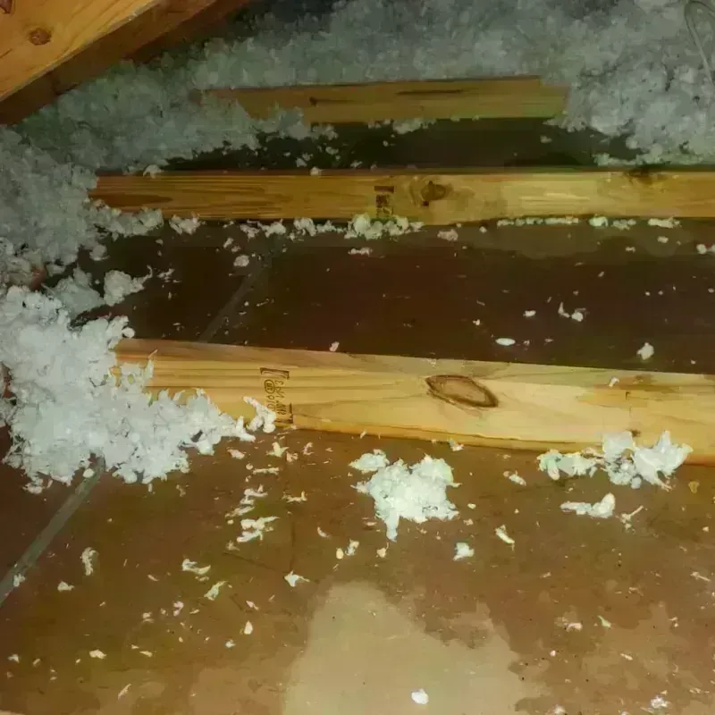 Attic Water Damage in Ringgold, LA